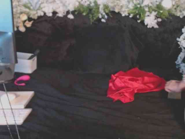 ViteR_ webcam
