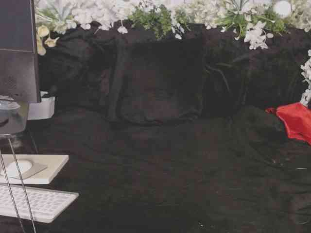 ViteR_ webcam