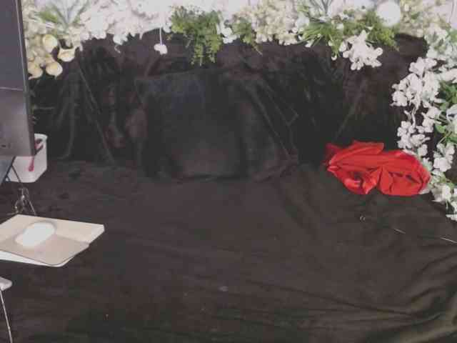 ViteR_ webcam