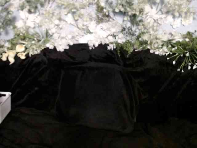 OLachkA webcam