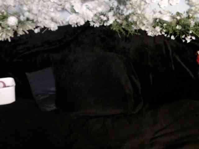 OLa_ webcam