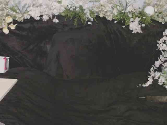 ViteR_ webcam