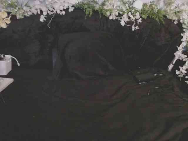 OLachkA webcam