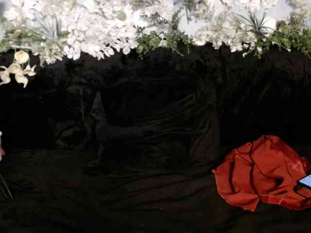 OLachkA webcam