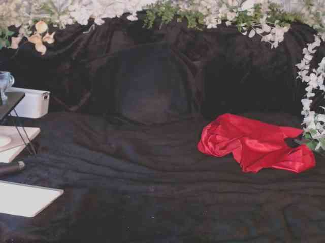 ViteR_ webcam