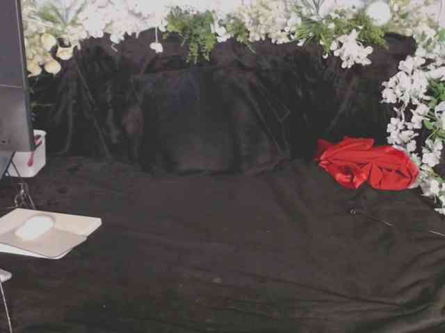 ViteR_ webcam