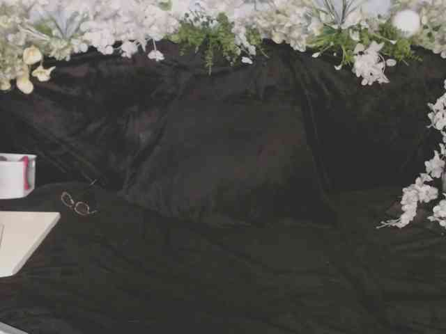ViteR_ webcam