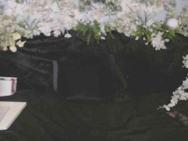ViteR_ webcam