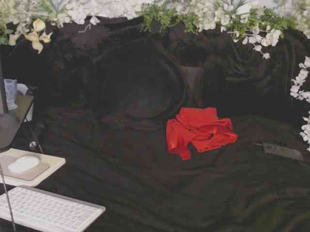 ViteR_ webcam