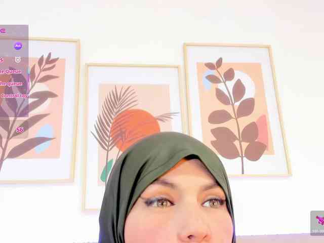 kalaa- webcam
