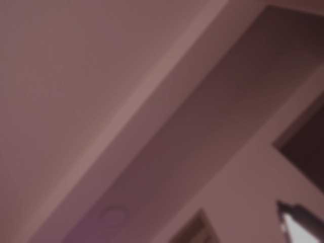 bella-adams live cam on BongaCams