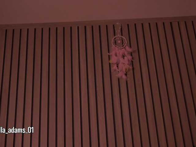 bella-adams live cam on BongaCams