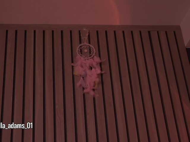 bella-adams live cam