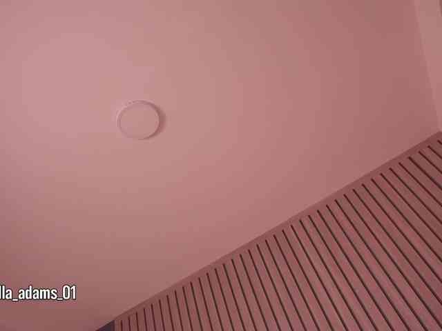 bella-adams webcam