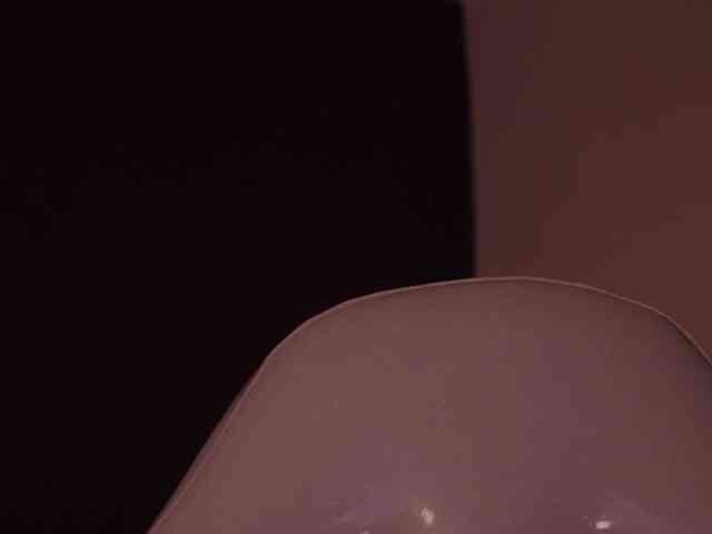 bella-adams webcam