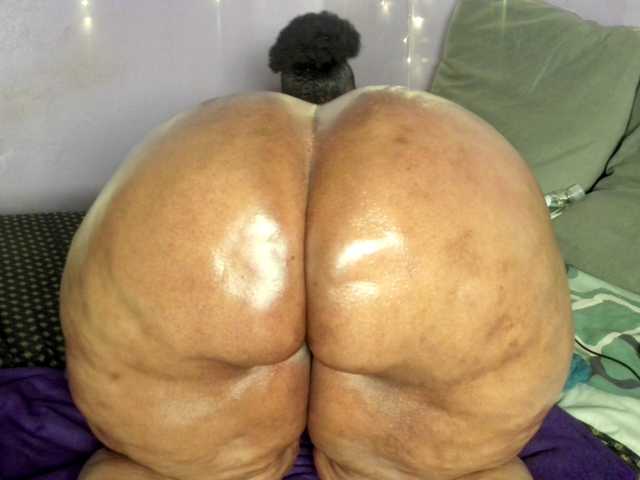 Big-Ass-Wilma live cam on BongaCams