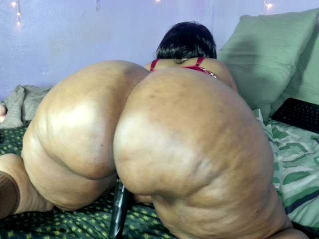 Big-Ass-Wilma webcam