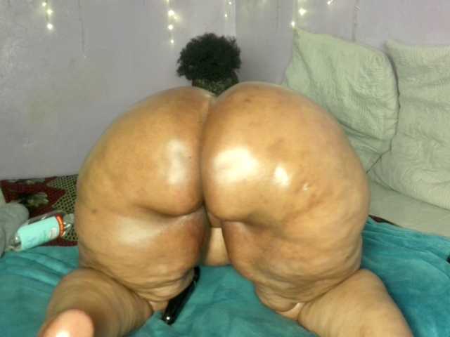 Big-Ass-Wilma live cam on BongaCams