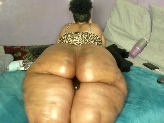 Big-Ass-Wilma live cam on BongaCams