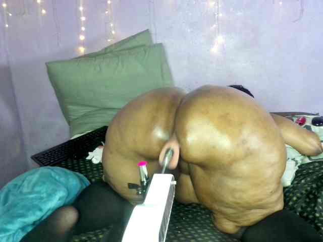 Big-Ass-Wilma webcam