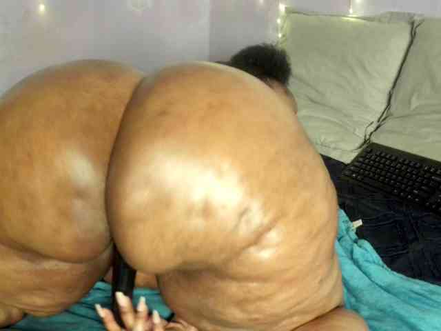 Big-Ass-Wilma webcam