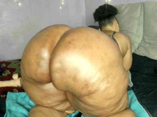 Big-Ass-Wilma webcam