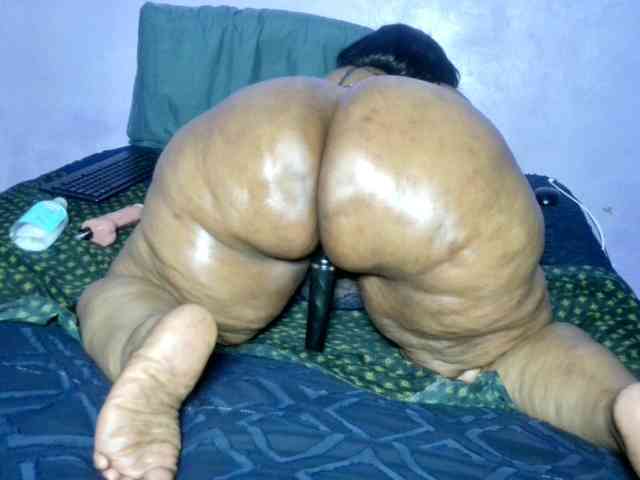 Big-Ass-Wilma webcam