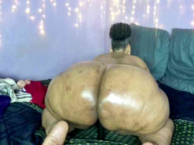 Big-Ass-Wilma webcam