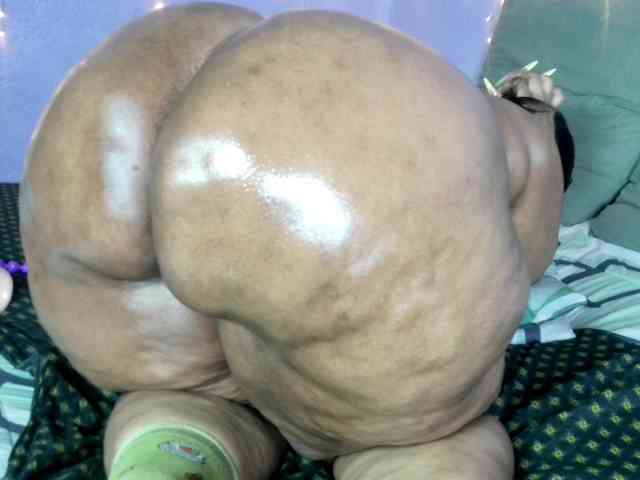 Big-Ass-Wilma webcam