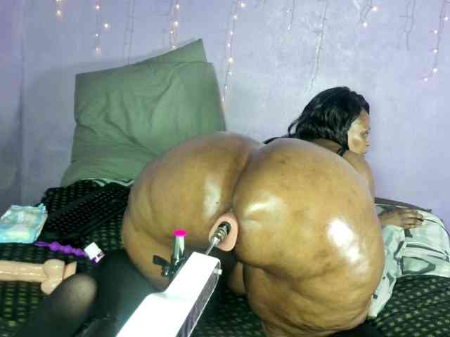 Big-Ass-Wilma webcam