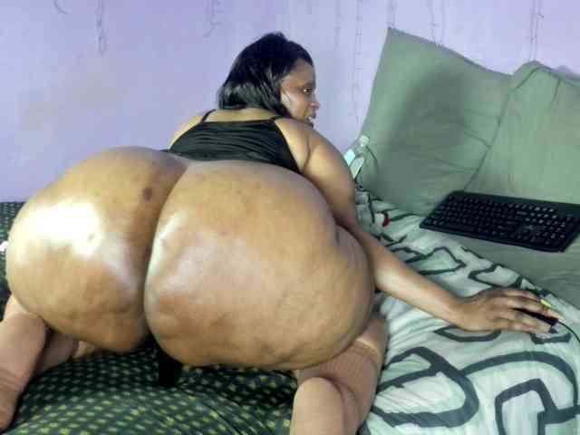 Big-Ass-Wilma webcam