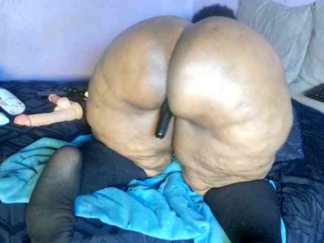 Big-Ass-Wilma webcam