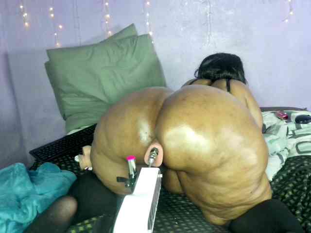 Big-Ass-Wilma webcam