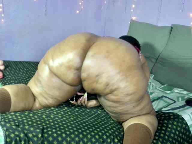 Big-Ass-Wilma webcam