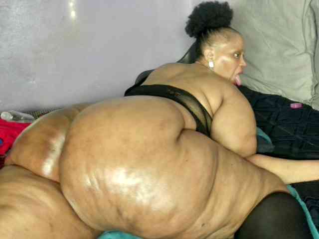 Big-Ass-Wilma webcam
