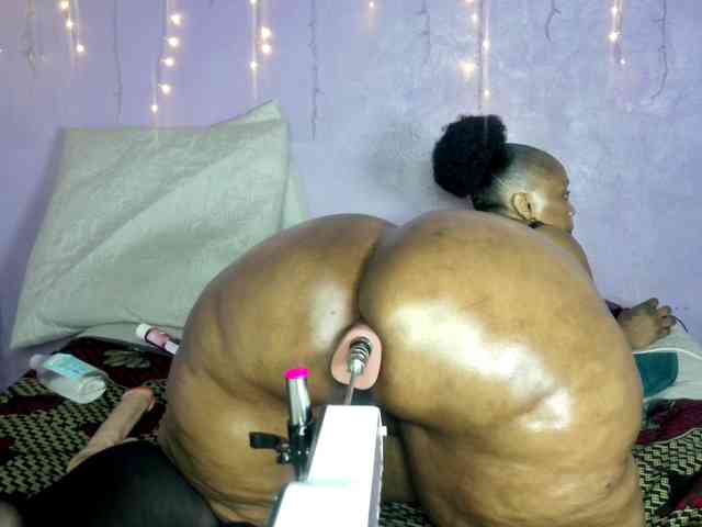 Big-Ass-Wilma webcam