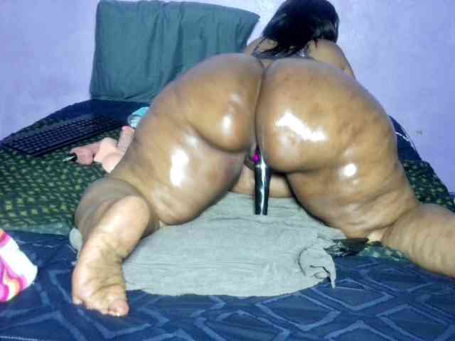 Big-Ass-Wilma webcam