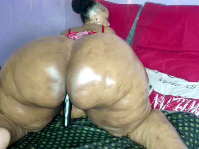 Big-Ass-Wilma webcam
