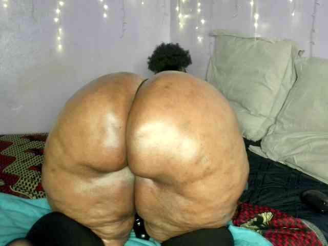 Big-Ass-Wilma webcam