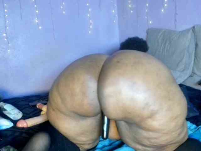 Big-Ass-Wilma webcam