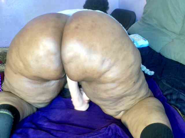 Big-Ass-Wilma webcam