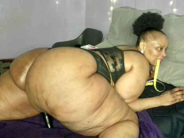 Big-Ass-Wilma webcam