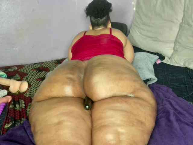 Big-Ass-Wilma webcam
