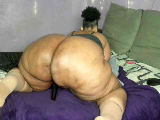 Big-Ass-Wilma webcam