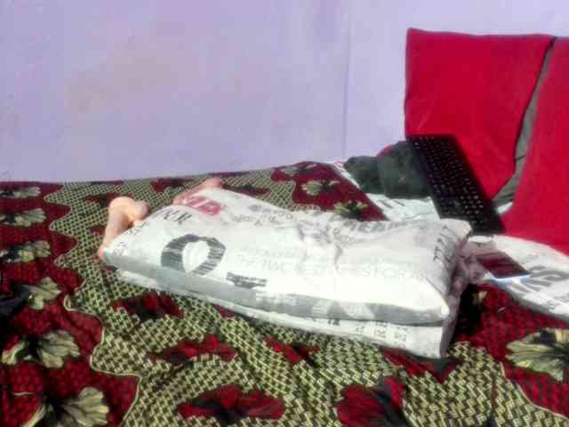 Big-Ass-Wilma webcam