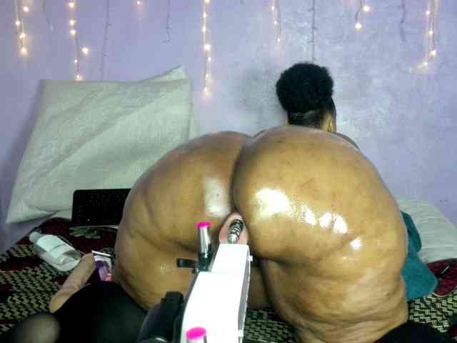Big-Ass-Wilma webcam