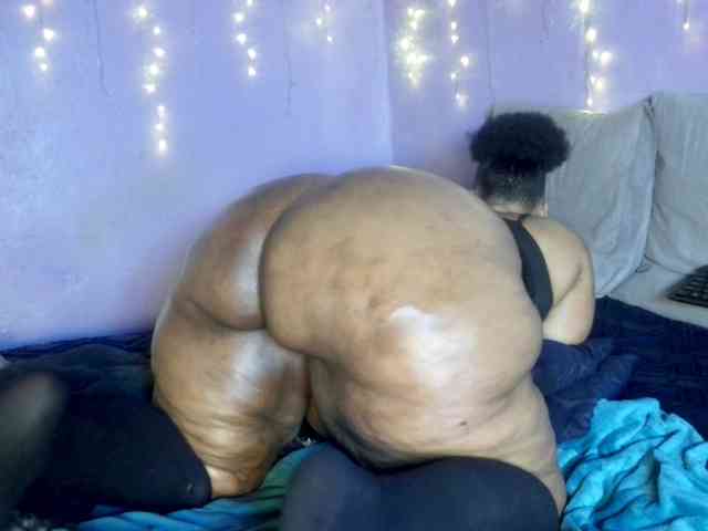 Big-Ass-Wilma webcam