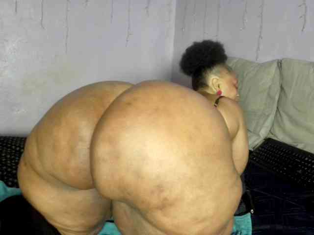 Big-Ass-Wilma webcam