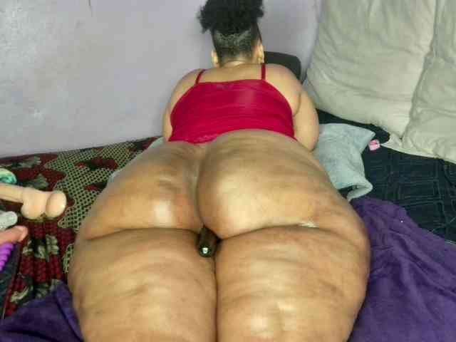 Big-Ass-Wilma webcam