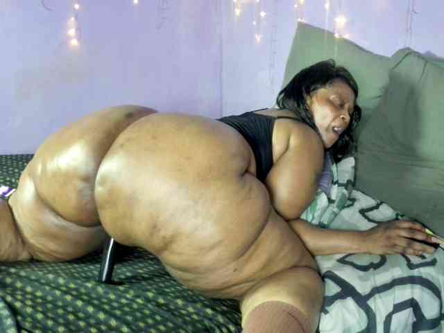Big-Ass-Wilma webcam
